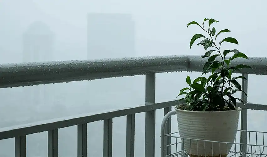 Monsoon Preparedness Checklist: Essential Tips for Home Preparation During Monsoon Season